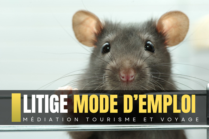 Vol annulé à cause d’un rat à bord : la compagnie doit-elle indemniser les passagers ? - depositphotos.com  Auteur Pakhnyushchyy