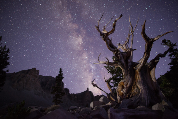 Le Nevada, un État à part dans le paysage américain Le Nevada, un État à part dans le paysage américain