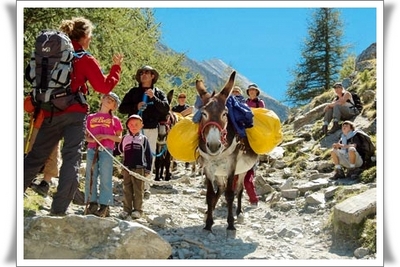 Allibert : le succès des randonnées «liberté» vient en marchant... Allibert : le succès des randonnées «liberté» vient en marchant...