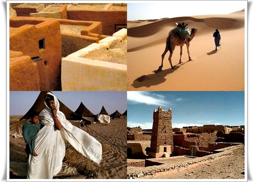 J.-F. Rial : « Air Med ou Transavia ? Pas de place pour 2 en Mauritanie ! » J.-F. Rial : « Air Med ou Transavia ? Pas de place pour 2 en Mauritanie ! »