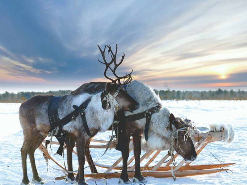 © Fotolia © Fotolia