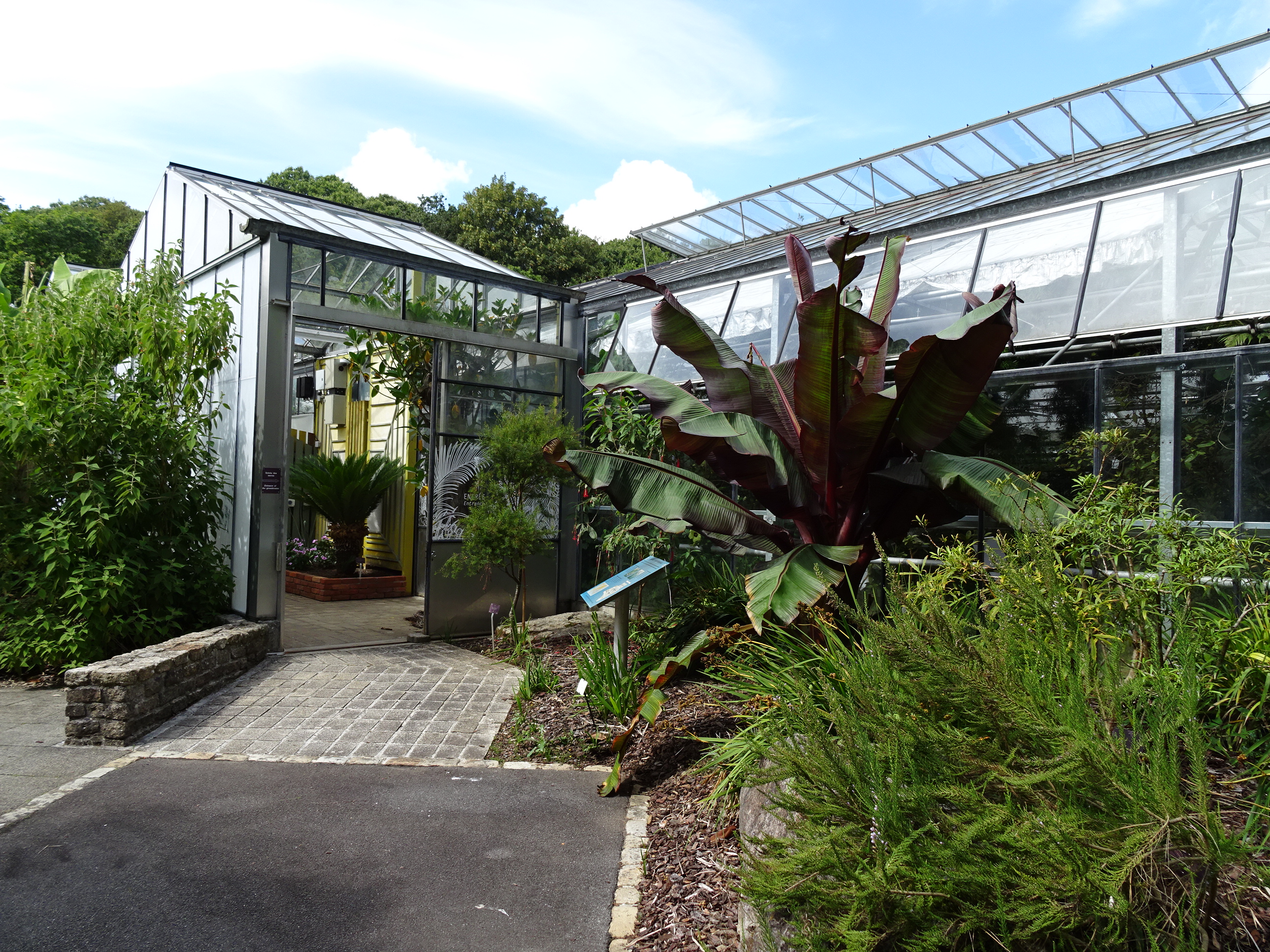 Tropical greenhouses at the National Botanic Conservatory of Brest (photo: CNB de Brest)