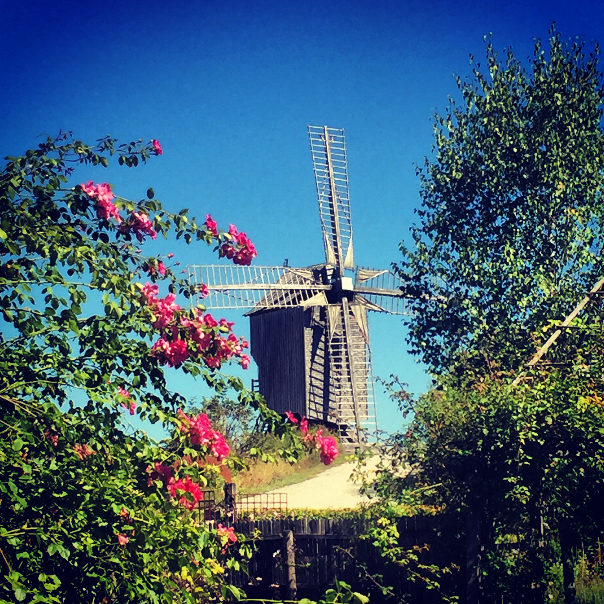 Moulin de Dosches (photo: SHD)