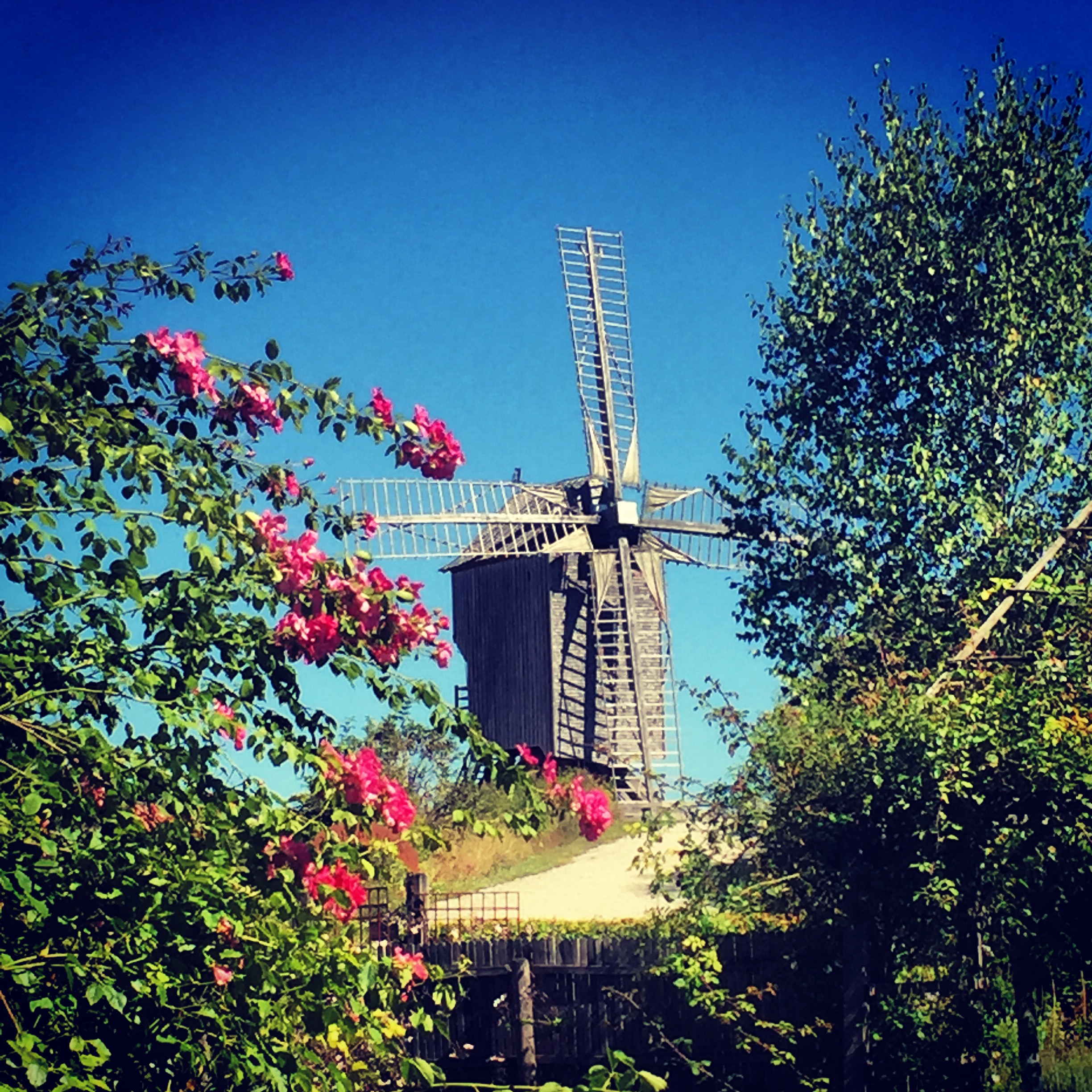 Dosches windmill (photo: SHD)