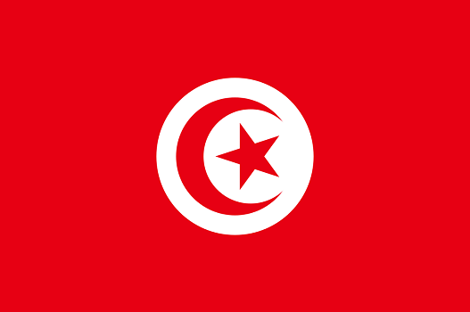 L'ONTT souhaite aider les agents de voyages français à mieux vendre la Tunisie - DR : Wikipedia