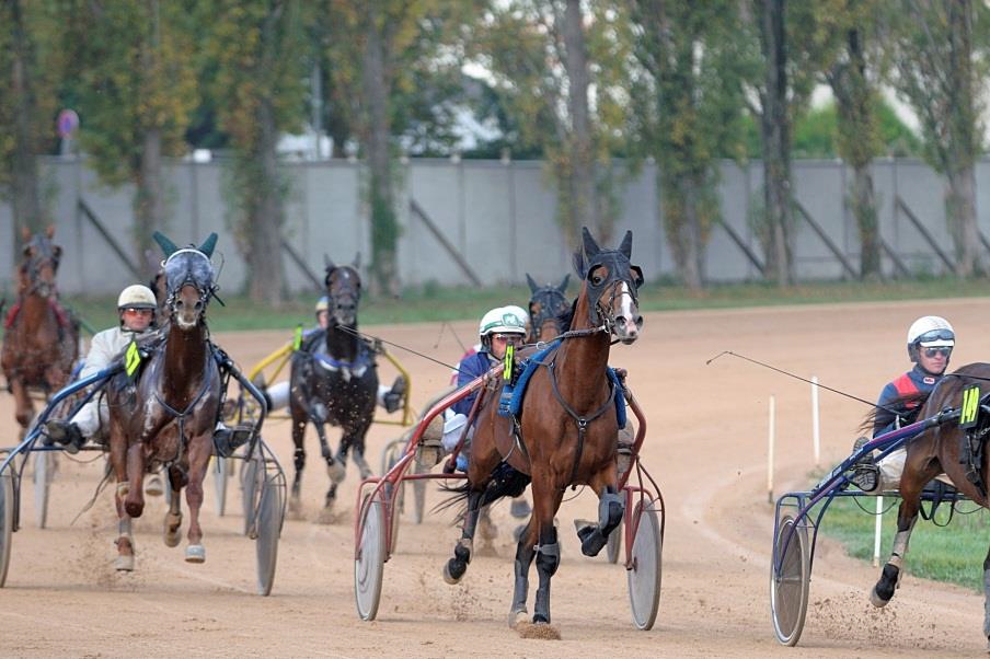 A Vincennes, le temple du Trot et les épreuves les mieux dotées du monde.