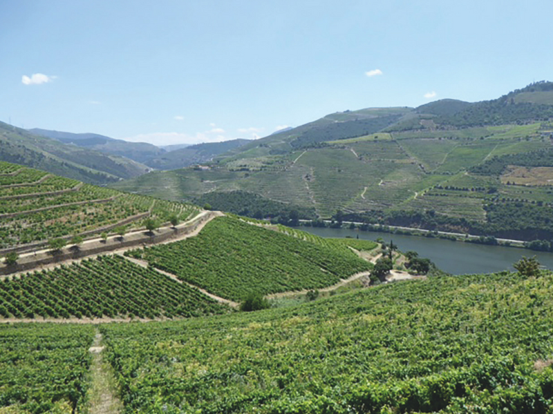 Vallée du Douro © DR Vallée du Douro © DR