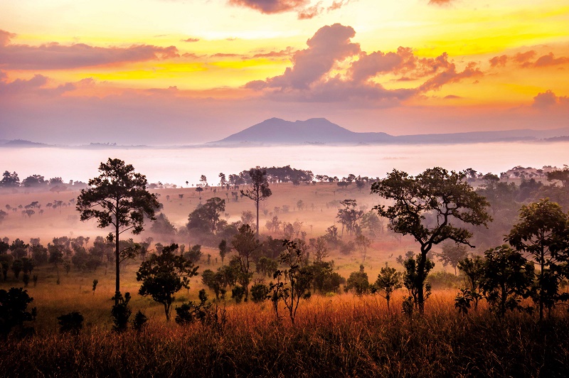 L'Afrique du Sud destination phare d'Afrique Authentique - Photo Afrique Authentique