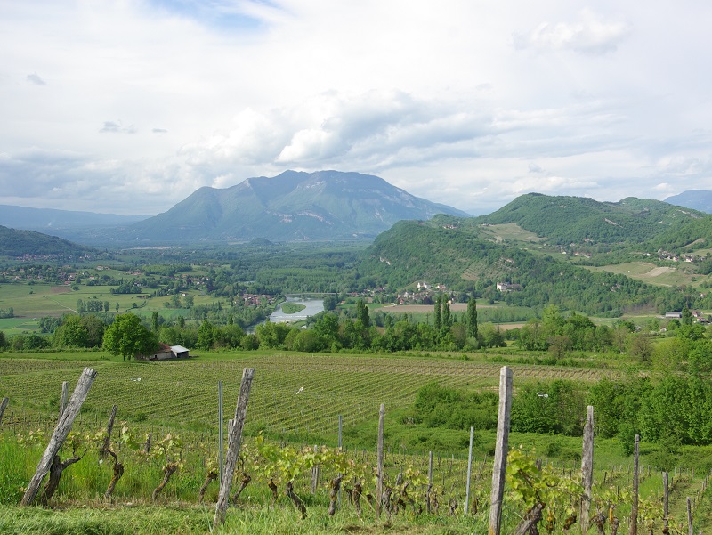 L’Avant-Pays savoyard est un territoire de collines et de montagnes légères, de pommiers, de vignes et de lacs, possède, en plus d’être accueillant, une identité originale. De quoi séduire les touristes curieux de nature - DR : J.-F.R.