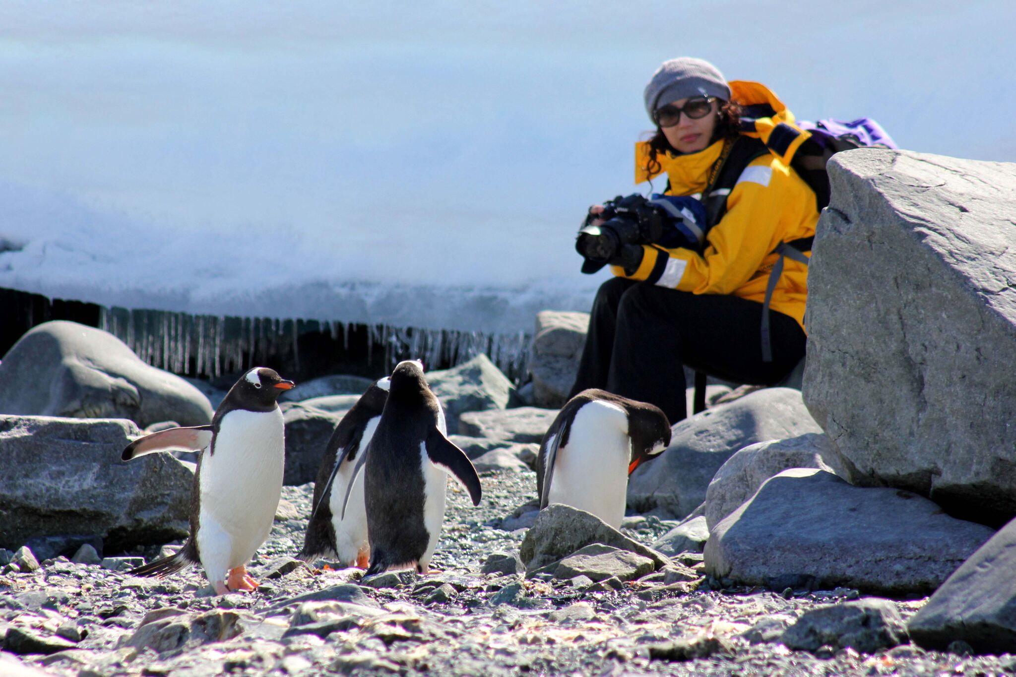 Photo: Quark Expeditions
