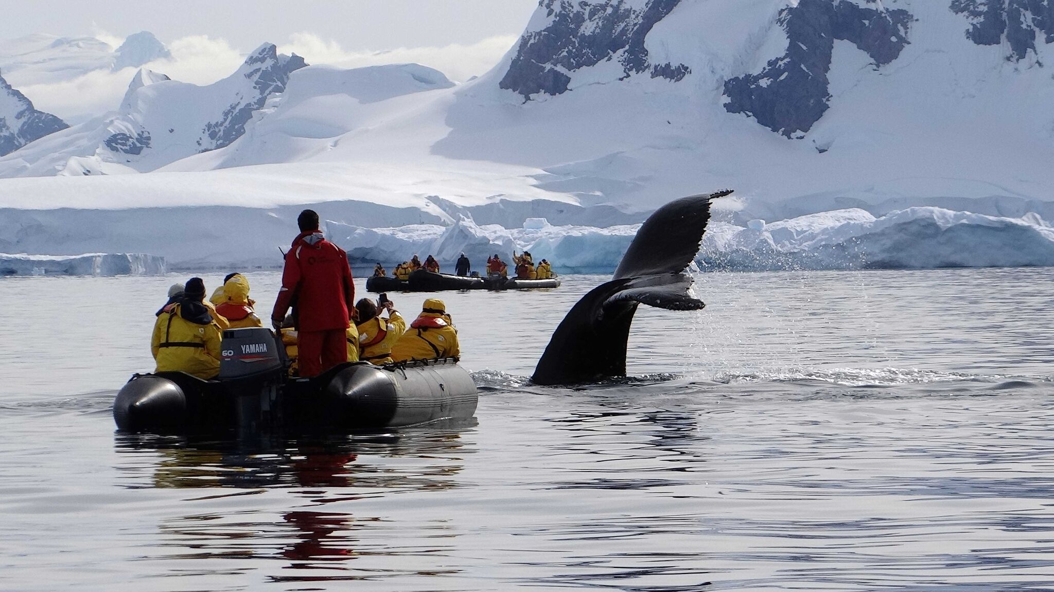 Photo: Quark Expeditions