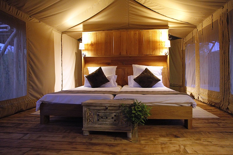 Grummeti Hills/DR Tanganyika Expeditions