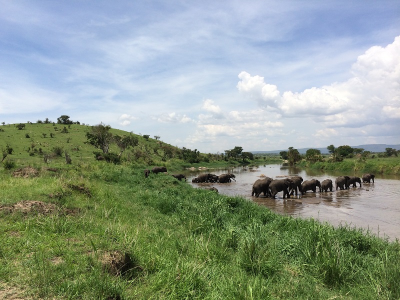 DR Tanganyika Expeditions