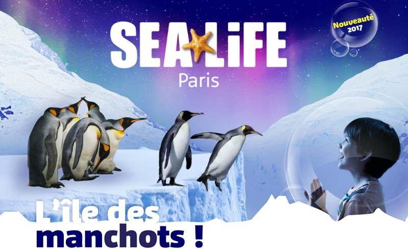 L'Ile des manchots accueillera une vingtaine de manchots antarctiques nés en captivité - DR : SEALIFE Paris
