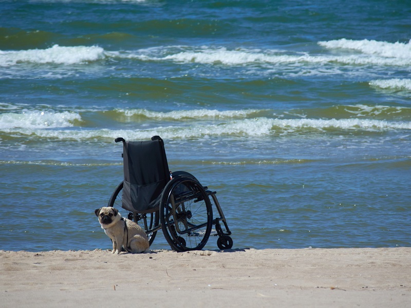 Le manque de contrôle limite l'efficacité de la réglementation qui s'applique à l'organisation de séjours pour personnes en situation de handicap - Photo : photoniko-Fotolia.com