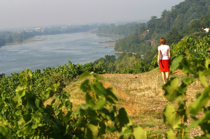 Les Pays de la Loire offrent de nouveaux itinéraires et de nouvelles activités pour cette année 2017