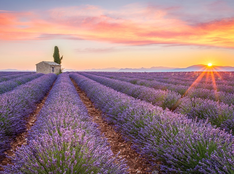 Le CRT Paca a organisé un atelier pour donner des pistes pour mieux promouvoir la destination auprès du marché nord-américain - DR : Fotolia, Ronnybas