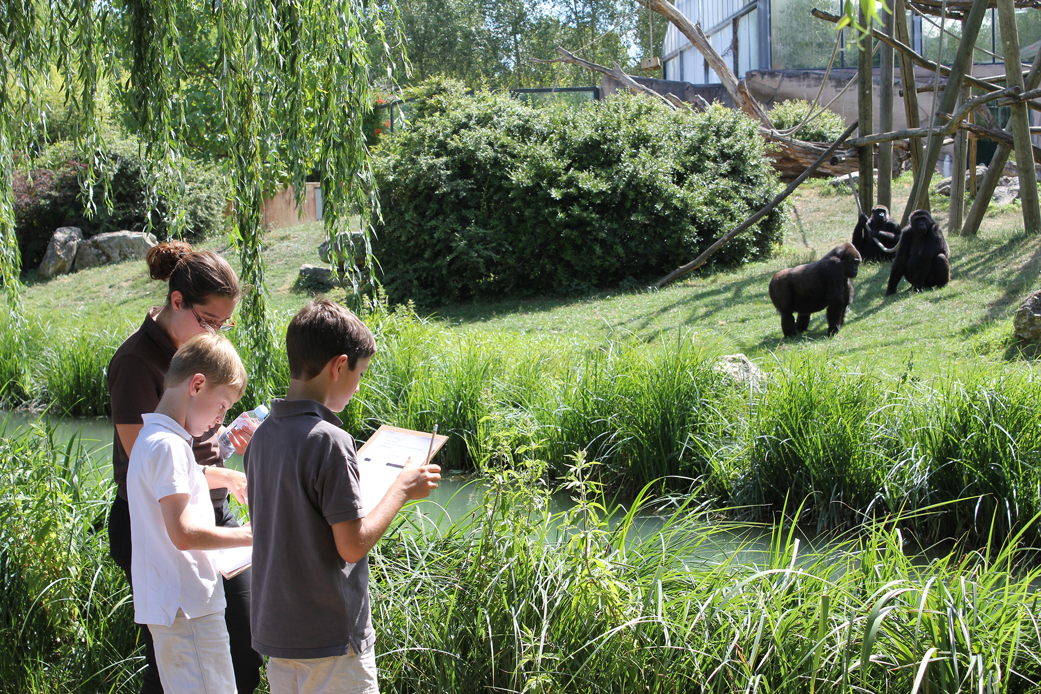 En 2016, 11 000 enfants ont suivi les ateliers pédagogiques du ZooParc - DR : ZP Beauval