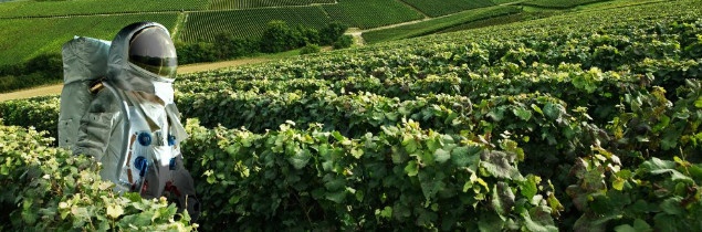 Le visuel qui a mis en colère Comité Interprofessionnel des Vins de Champagne - DR