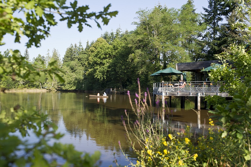 vacances en forêt france