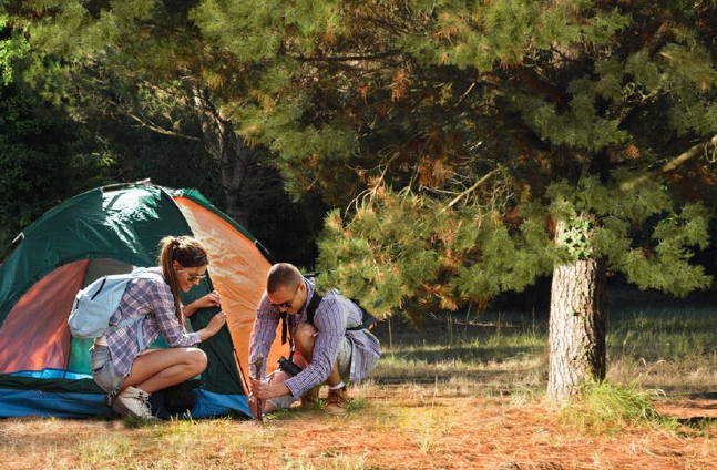 Le camping Azuréva Oléron, 3 étoiles, comptera 77 emplacements - Photo : Azuréva