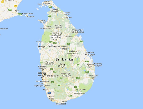 Sri Lanka : épidémie de dengue importante cette année