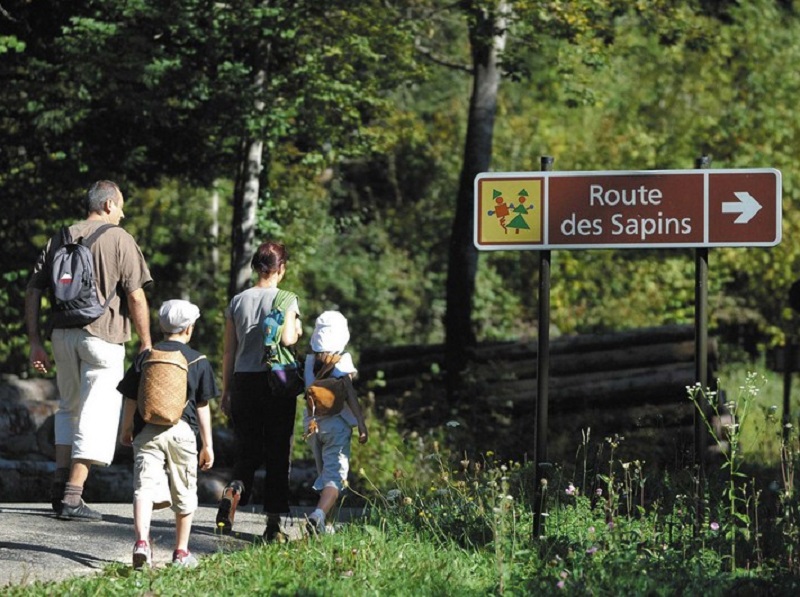 Plusieurs aménagements ont été réalisés à travers la forêt pour éclairer le visiteur - Copyright : Michel Joly/CDT Jura