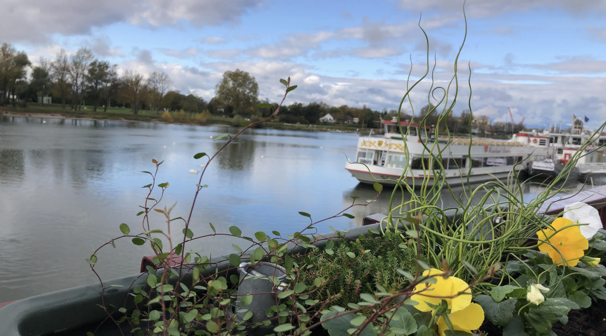 Le secteur du tourisme fluvial a connu une bonne fréquentation en 2016 - Crédit photo JDL