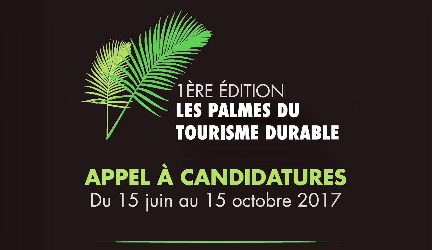 Les candidats ont jusqu'au 15 octobre 2017 pour déposer leur dossier sur le site Internet : http://palmesdutourismedurable.com - DR
