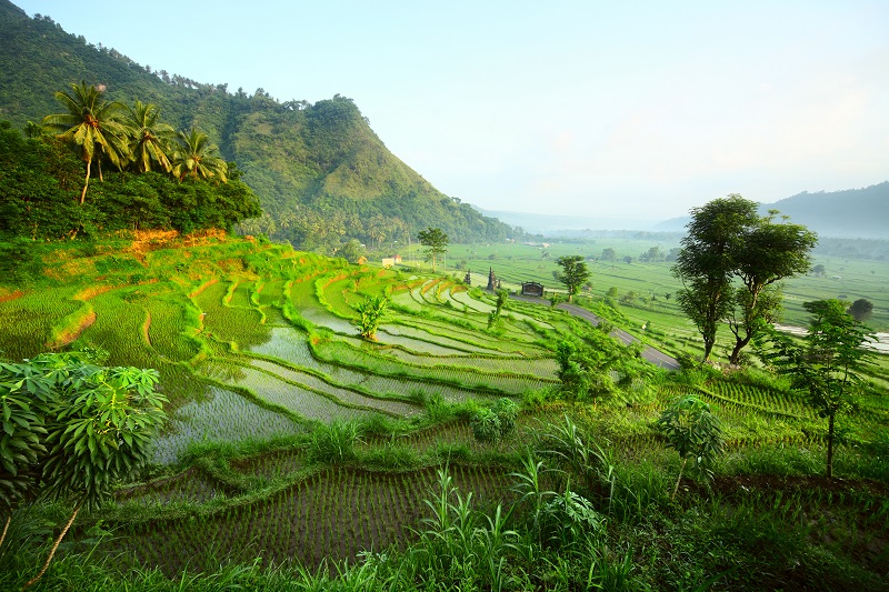 Bali Seken vous invite à découvrir l'Indonésie dans toute son authenticité. DR: Bali Seken