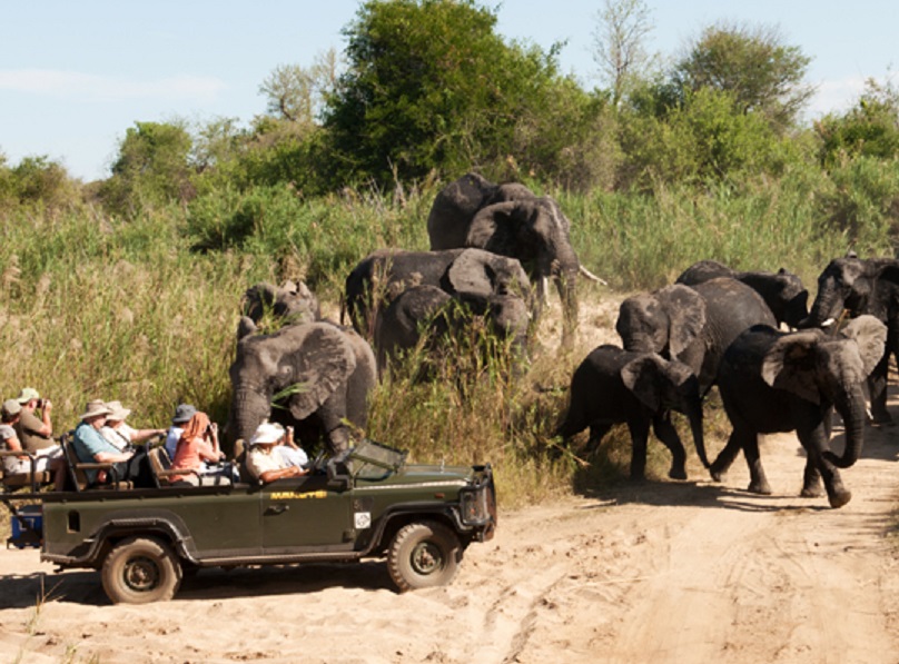Makutsi safari springs en Afrique du Sud