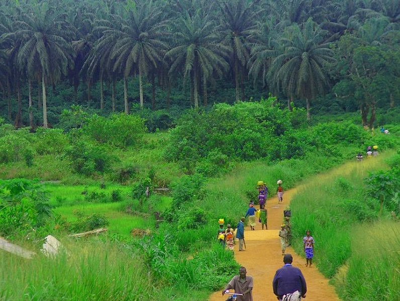 La Sierra Leone veut redevenir une destination haut de gamme