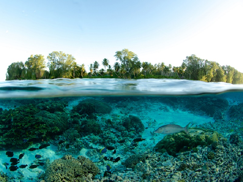 Les Seychelles sont l'une des destinations les plus prisées au monde Les Seychelles sont l'une des destinations les plus prisées au monde