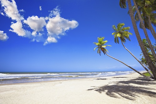 Condor : Embarquement immédiat Condor : Embarquement immédiat