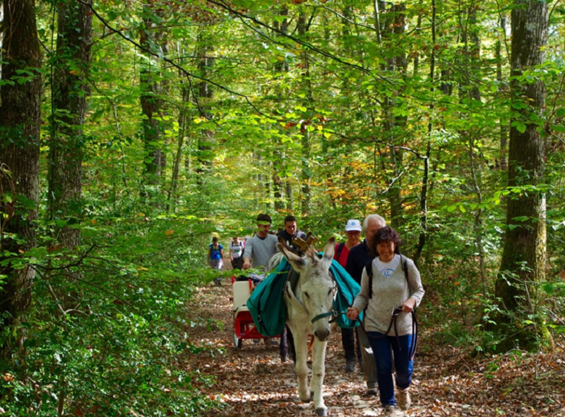 Les Anes de Balaam pour un tourisme proche des gens et de la nature. Photo: Les ânes de Balaam