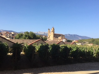 Les vignes de la Rioja - DR : J.-P.C.