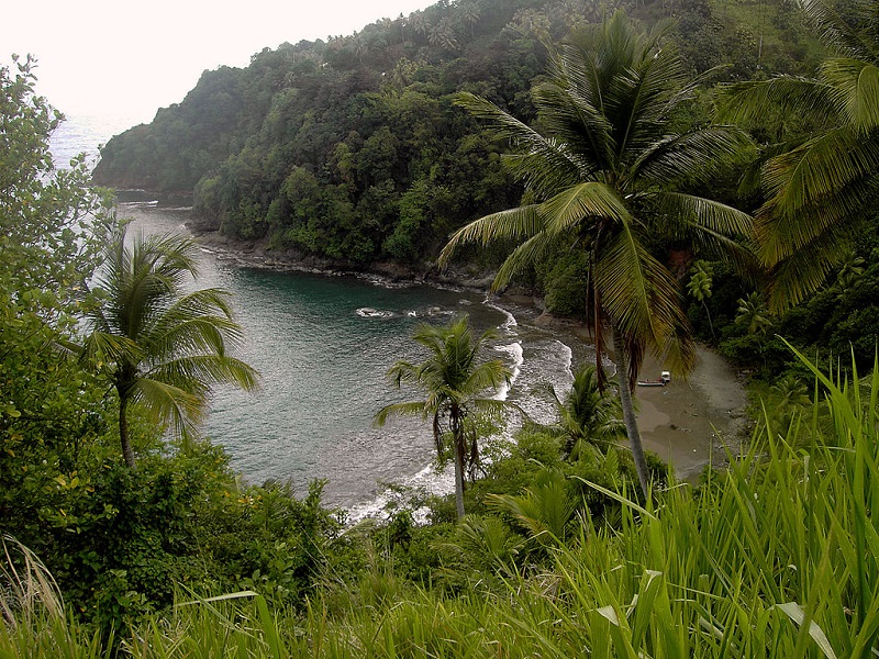 L'île de la Dominique en juin 2006 - © Hans Hillewaert / CC BY-SA 4.0