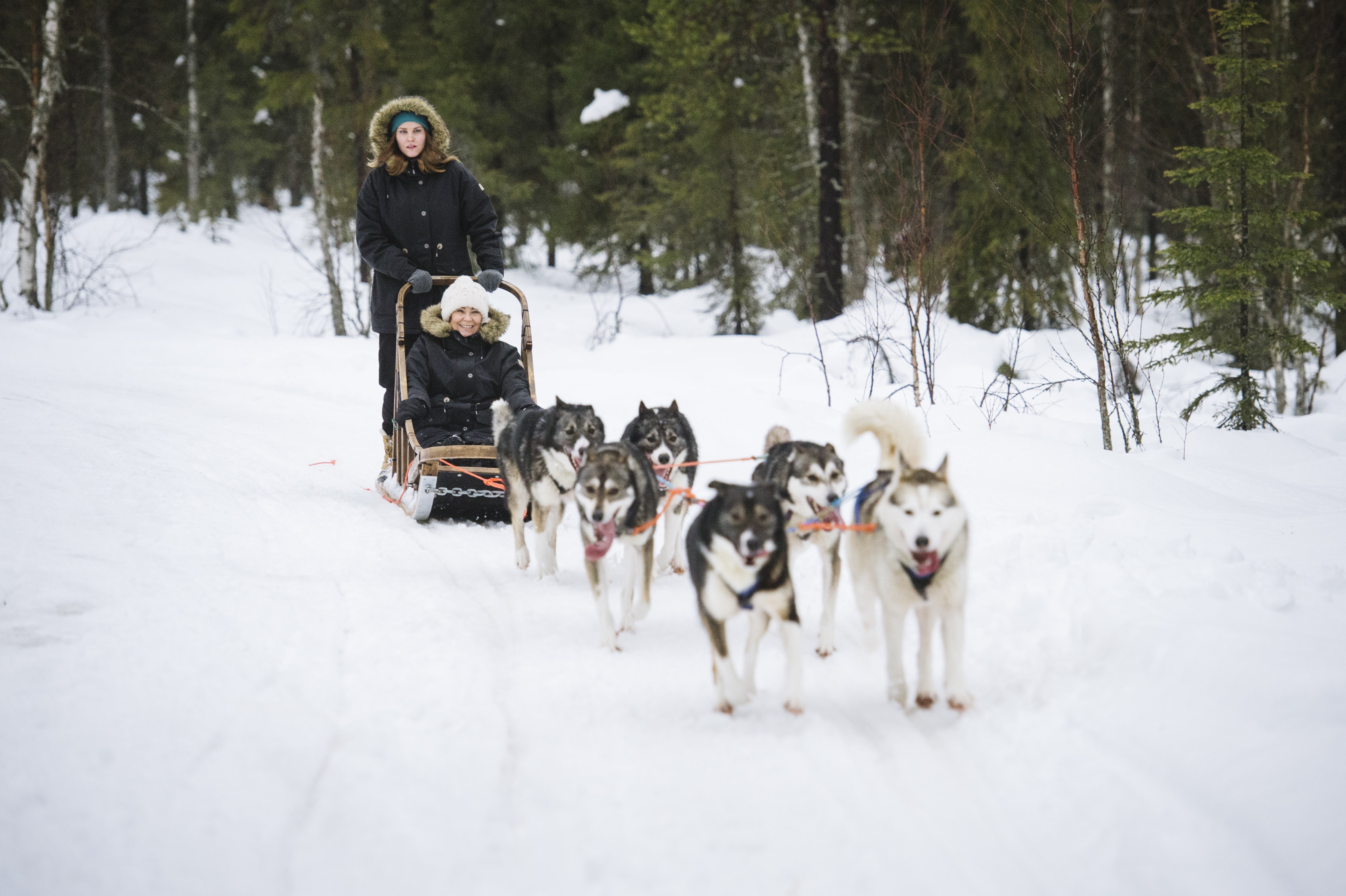 Pour les fêtes de fin d'année, Nortours propose des séjours en Laponie finlandaise. - DR Juho Kuva
