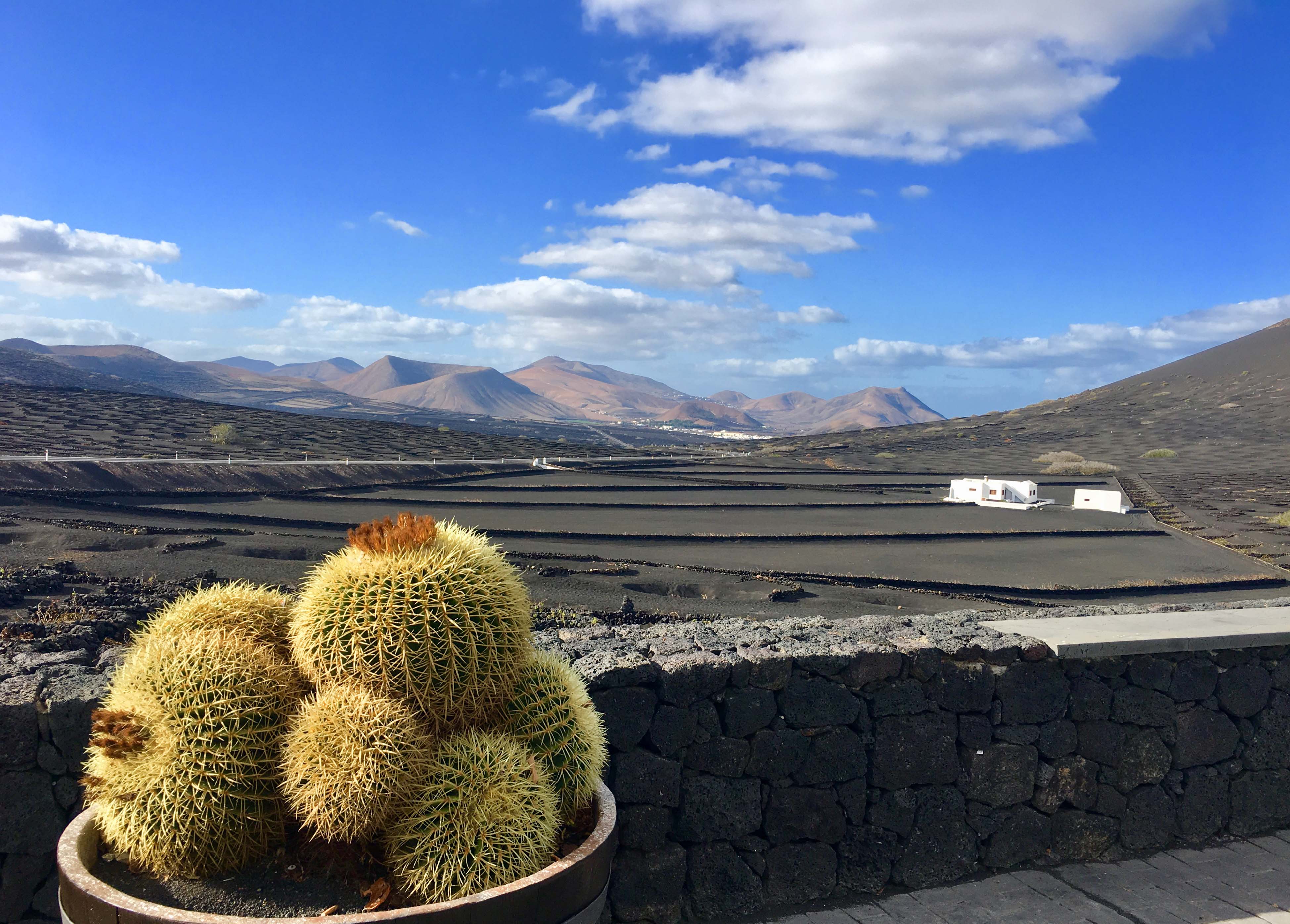 Bodega La Geria © Laurie Medina, TourMaG Bodega La Geria © Laurie Medina, TourMaG