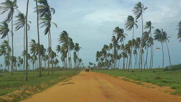 Le Bénin délivrera le visa Spécial Touriste à l'entrée au pays - Crédit photo : benin-tourisme.com