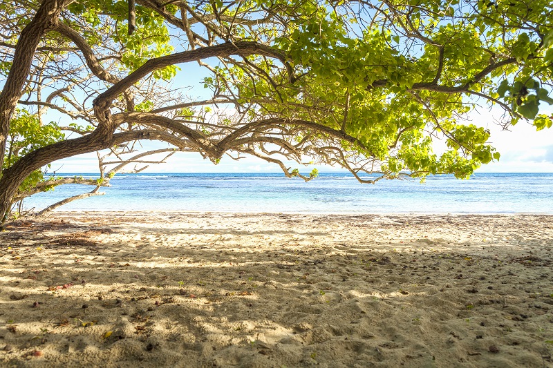 Le Relais du Moulin, l'hôtel de charme à découvrir en Guadeloupe