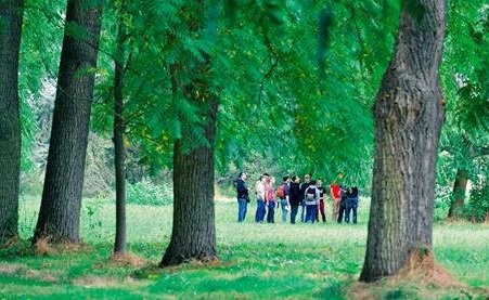 Arboretum de Versailles-Chèvreloup ouvre sur 200 hectares, soit 130 hectares en plus - Crédit photo : Arboretum de Versailles-Chèvreloup