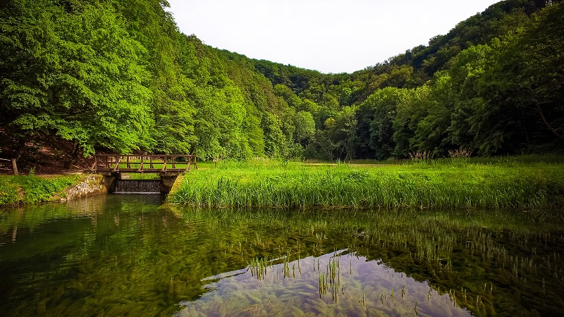 Parc naturel de Papuk- DR: Ivo Biočina/ ONT Croatie