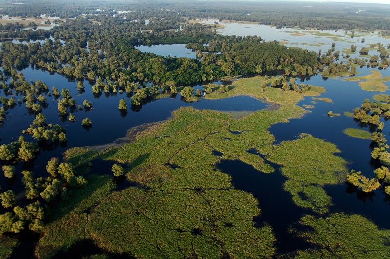 Le parc naturel Kopački Rit- DR:Goran Šafarek/ONT Croatie