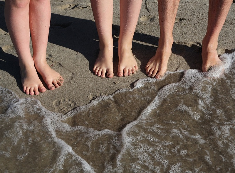 Les Accueils Collectifs de Mineurs devraient bénéficier d'une exemption d'immatriculation - Photo Pixabay burningriver Les Accueils Collectifs de Mineurs devraient bénéficier d'une exemption d'immatriculation - Photo Pixabay burningriver