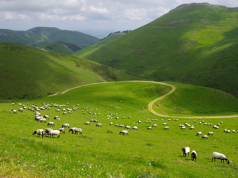 Pays-Basque ©PSaint-jean / ATR