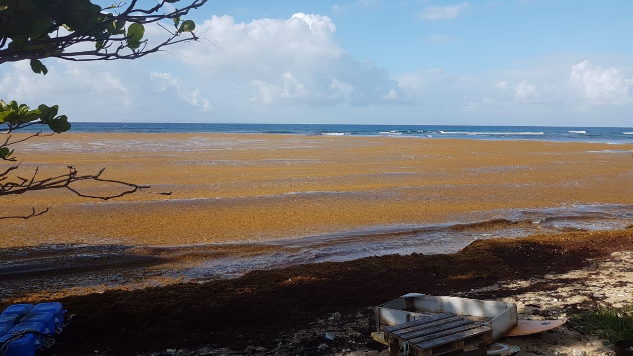 La ville de Saint-François, au sud de Grande Terre en Guadeloupe est particulièrement touché. Ici, le spot de surf de surf'action, le 31 mai 2018. - EG