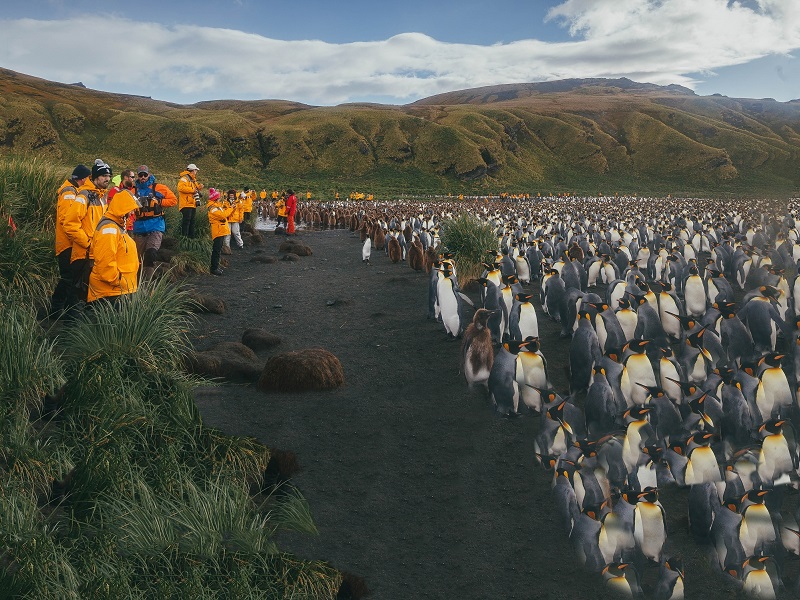 Pour profiter à fond de son voyages, Quark expeditions propose désormais des programmes en français - crédit photo : quark expeditions