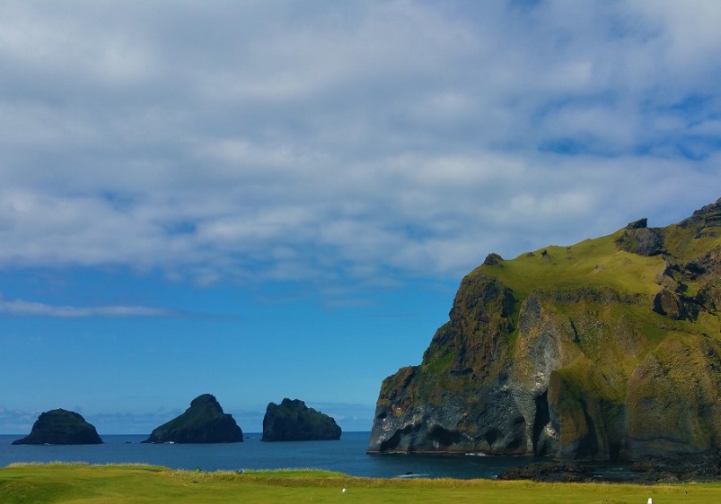 Curieusement, nous n’avons eu qu’une conclusion : chacun vit en bonne compagnie et tout va bien… - photo :  CC0 Domaine public Curieusement, nous n’avons eu qu’une conclusion : chacun vit en bonne compagnie et tout va bien… - photo :  CC0 Domaine public