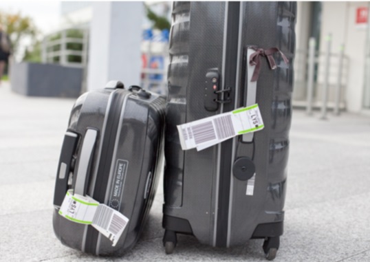 En partenariat avec la startup Eelway, Aéroports de Lyon et Rhônexpress lancent, un nouveau service de livraison de bagages - DR